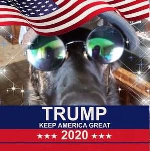 Meet your Posher, Jeff